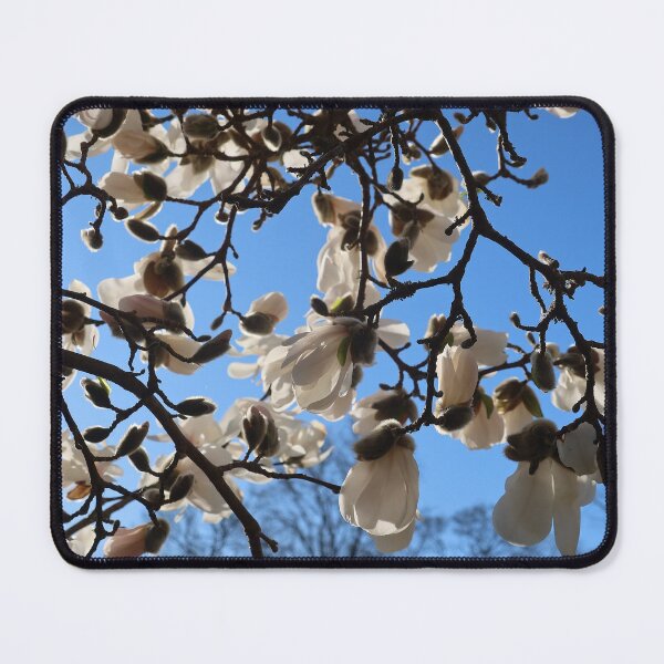 Item preview, Magnolia about to bloom designed and sold by Trine.