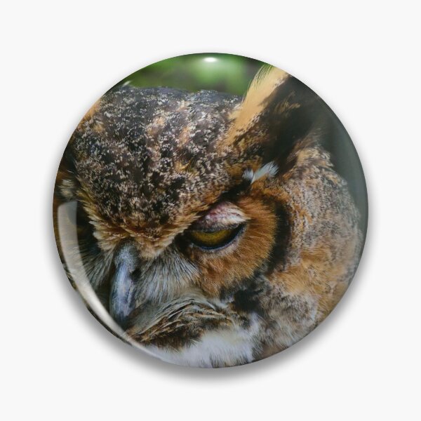 Item preview, Wise Old Owl  designed and sold by MercerImages.