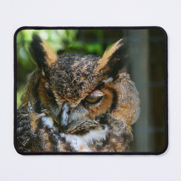 Item preview, Wise Old Owl designed and sold by MercerImages.