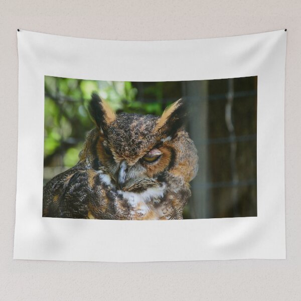 Item preview, Wise Old Owl  designed and sold by MercerImages.