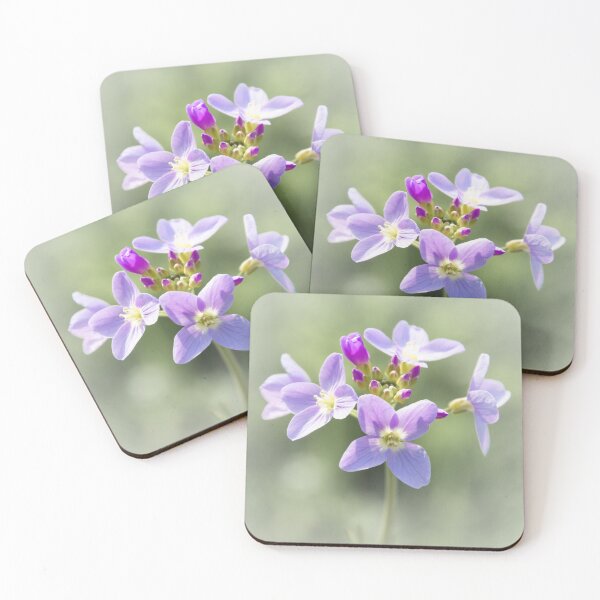 Item preview, Cardamine Pratensis designed and sold by JEZ22.