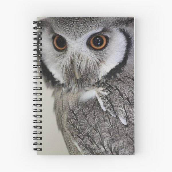 Item preview, cute owl designed and sold by derbyshireduck.