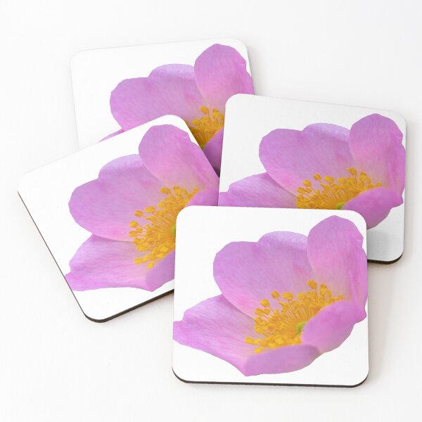 Item preview, English Dog Rose designed and sold by Dalyndigital Photography.