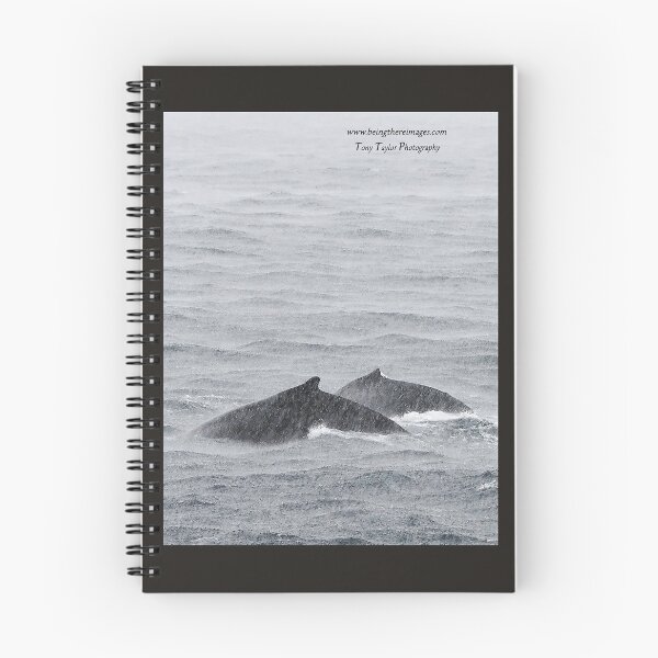 Item preview, Migrating Humpbacks designed and sold by BeingTherePix.