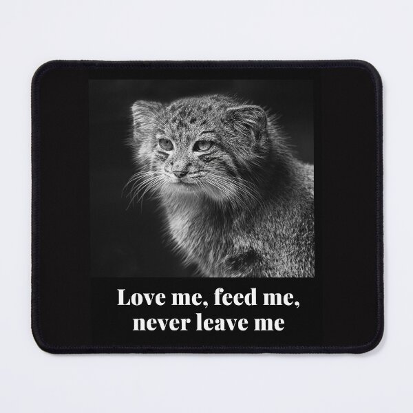 Item preview, cat love me feedme designed and sold by SKYSHOP007.