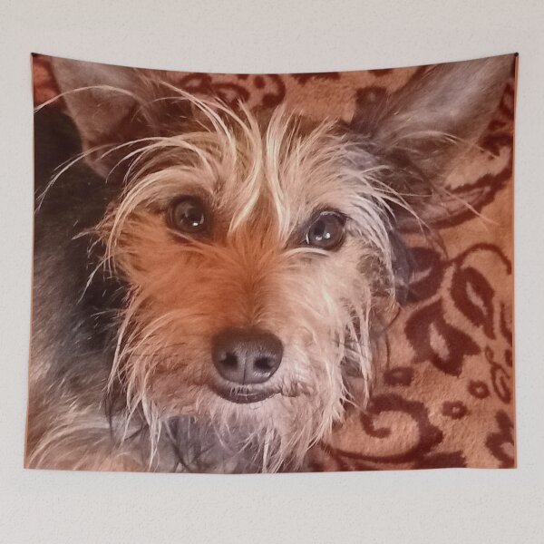 Item preview, Yorkshire designed and sold by vibeno1.