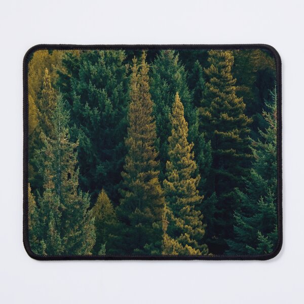Item preview, Shades of Green - New Zealand Pine Trees designed and sold by danieljwphoto.