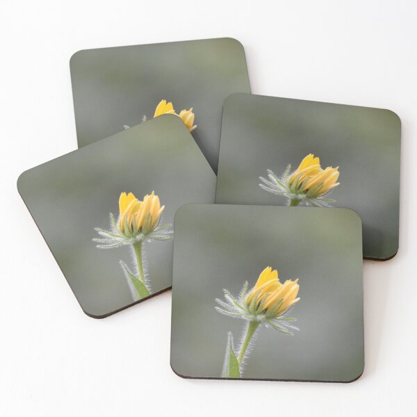 Item preview, Blooming  designed and sold by Tonia Delozier's Photography .