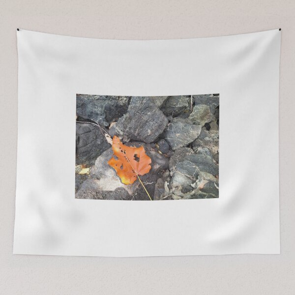 Item preview, Stillness in Contrast – Nature’s Quiet Elegance designed and sold by Quantum-Life.
