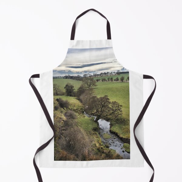 Item preview, A burn flowing to a field near Hassendean in the Scottish Borders designed and sold by Richard Flint.