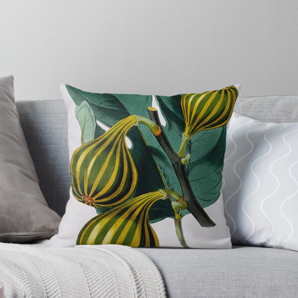 Item preview, Fig plant designed and sold by 19th Century in Color.