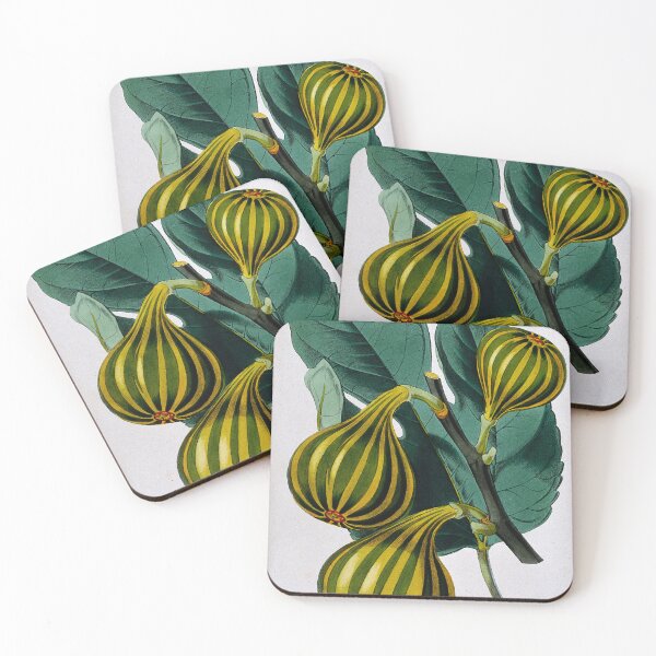 Item preview, Fig plant designed and sold by 19th Century in Color.