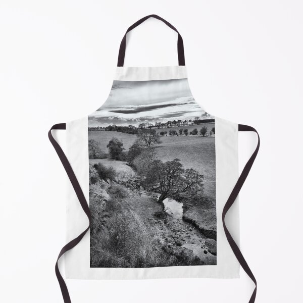 Item preview, A stream flows to a field near Hassendean in the Scottish Borders designed and sold by Richard Flint.