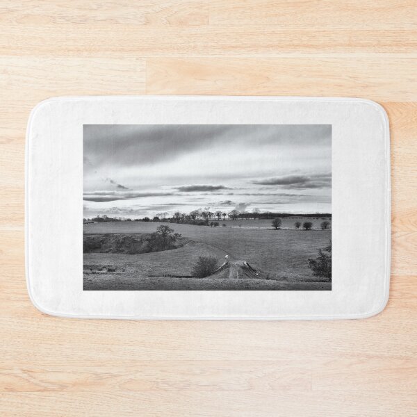 Item preview, The old bridge and track. Landscape near Hassendean, Scottish Borders designed and sold by Richard Flint.
