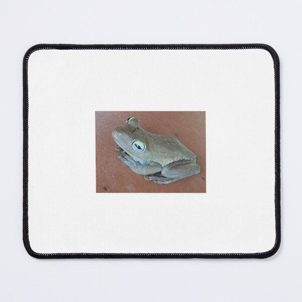 Item preview, Costa Rican Tree Frog – Nature’s Small Wonders designed and sold by Quantum-Life.