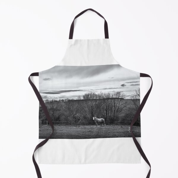 Item preview, A lone white horse near Hassendean, Scottish Borders designed and sold by Richard Flint.