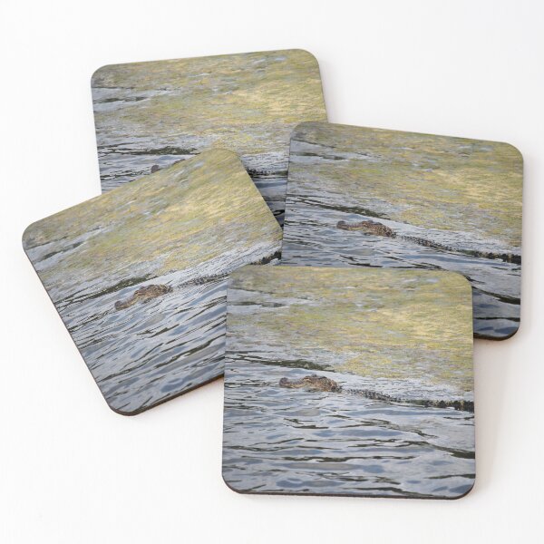 Item preview, Alligator Habitat designed and sold by Cynthia48.