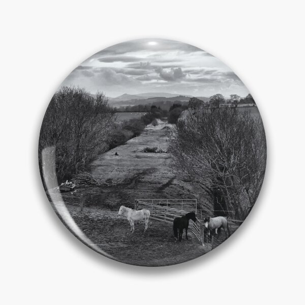 Item preview, Horses near an old railway line at Hassendean, Scottish Borders designed and sold by Richard Flint.