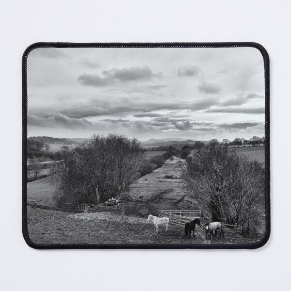 Item preview, Horses near an old railway line at Hassendean, Scottish Borders designed and sold by Richard Flint.