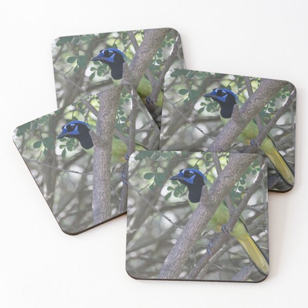 Item preview, Green Jay designed and sold by EnglandEcology.