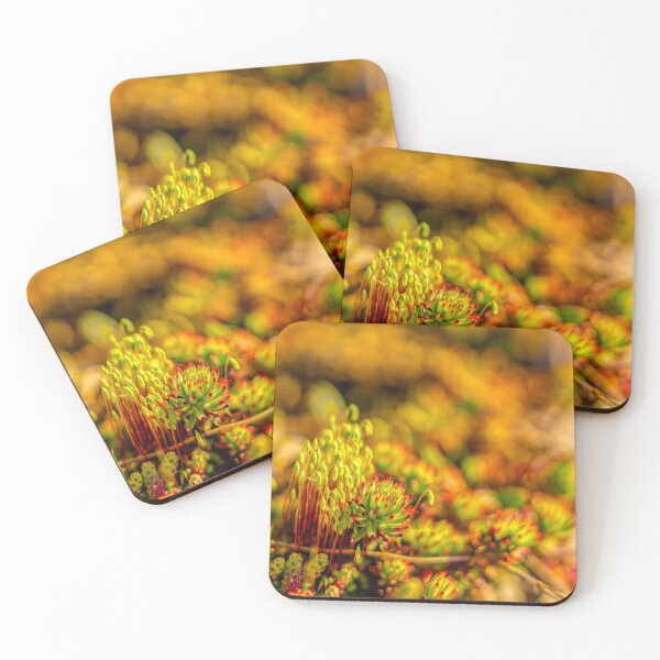Item preview, April, spring time 2 designed and sold by Veikko  Suikkanen.
