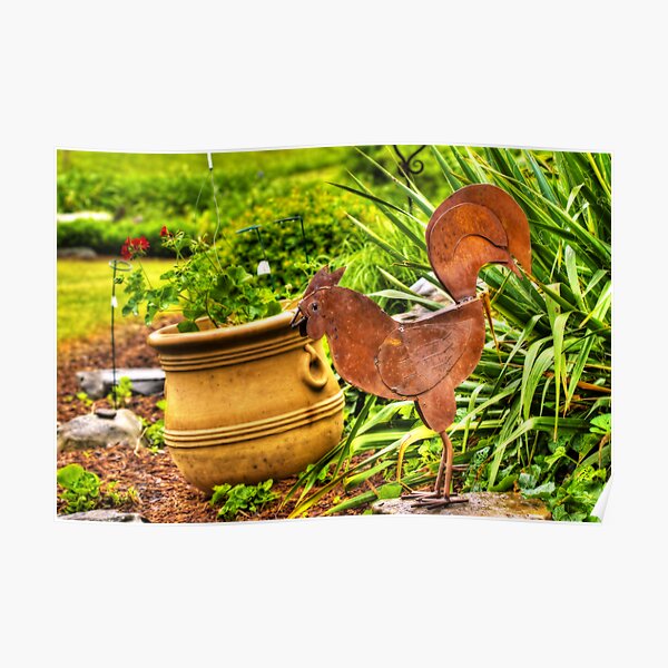 Rooster In The Garden Poster
