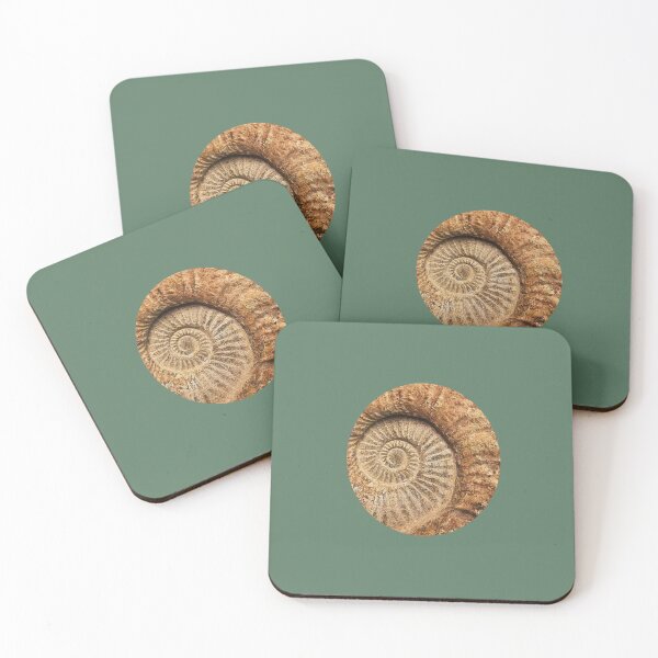 Item preview, Fossil designed and sold by LaPaz361.