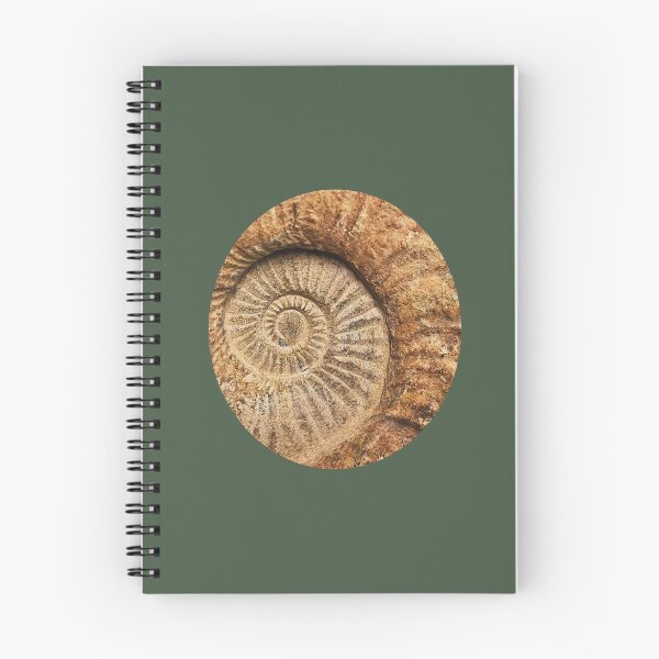 Item preview, Fossil designed and sold by LaPaz361.