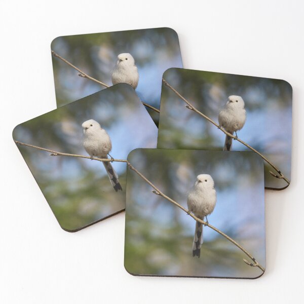 Item preview, Pyrstötiainen (Aegithalos caudatus) - Long-tailed tit designed and sold by Jouko Lehto Photography.
