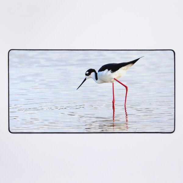 Item preview, Black-Necked Stilt designed and sold by Jolynn Artistry.