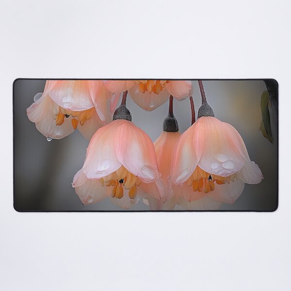 Item preview, Peach Lanterns: A Delicate Cascade of Spring designed and sold by bloorose.