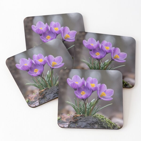 Item preview, Violet Jewels: A Crocus Quartet in Spring's Embrace designed and sold by bloorose.