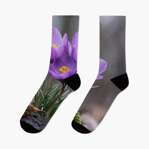 Item preview, Violet Jewels: A Crocus Quartet in Spring's Embrace designed and sold by bloorose.