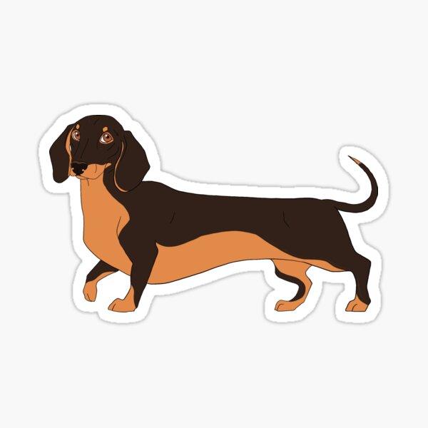 Item preview, Black Dachshund designed and sold by venusvalkyrie.