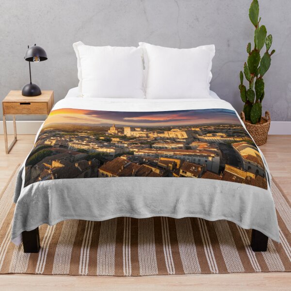 Item preview, View of Avignon with Palais des Papes during sunset in Southern France. Medieval architecture along the Rhone River in Avignon, Provence, France. The Palais des Papes in Avignon, South France. designed and sold by Framed Horizons.
