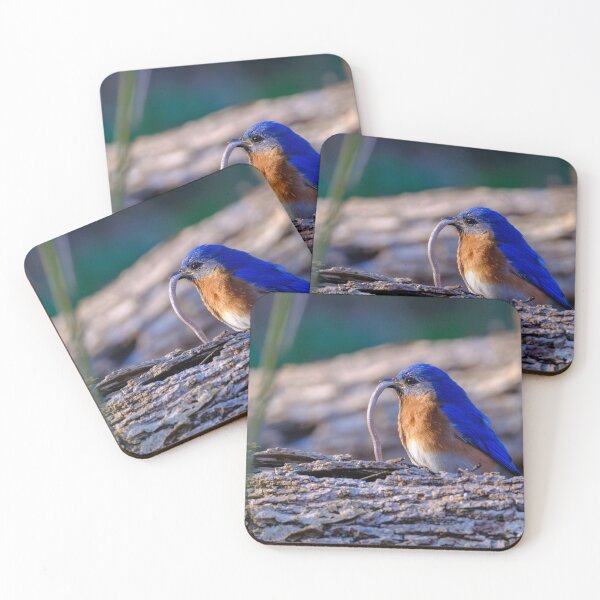 Item preview, Bluebird's Breakfast: Nature's Little Hunter designed and sold by tiltshiftearth.