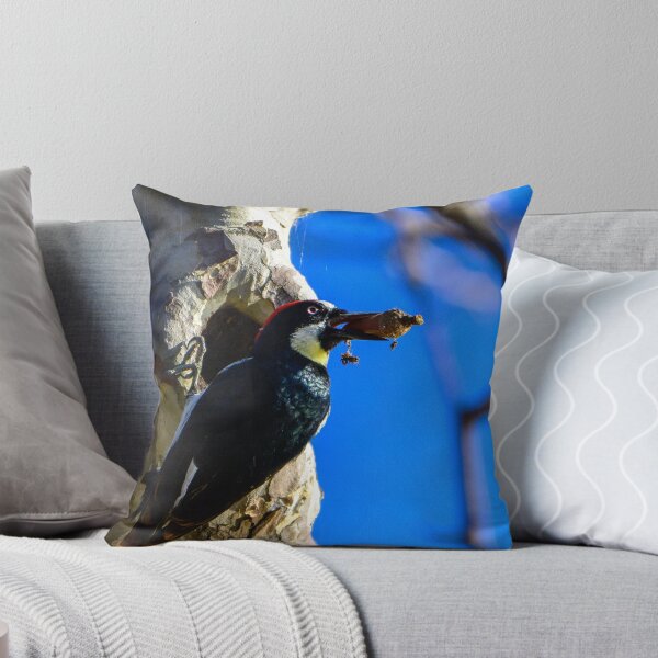 Item preview, Acorn Woodpecker designed and sold by tiltshiftearth.