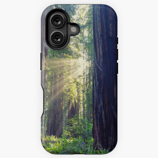 Item preview, Forest Cathedral designed and sold by tiltshiftearth, contemplative art.