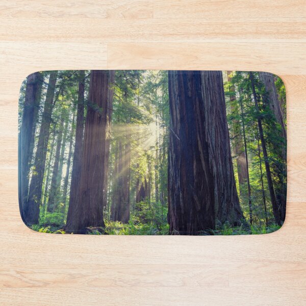 Item preview, Forest Cathedral designed and sold by tiltshiftearth.