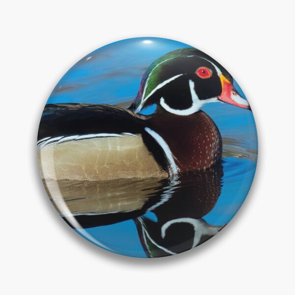 Item preview, Wood Duck Double Take designed and sold by tiltshiftearth.