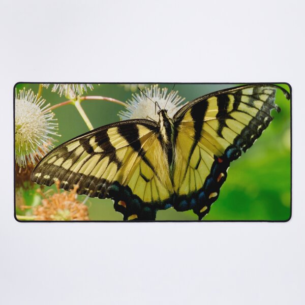 Item preview, Tiger Swallowtail Delight designed and sold by tiltshiftearth.