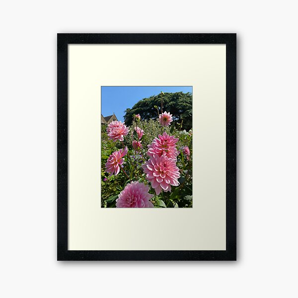 Item preview, Pink dahlia  designed and sold by Felix-designs1.