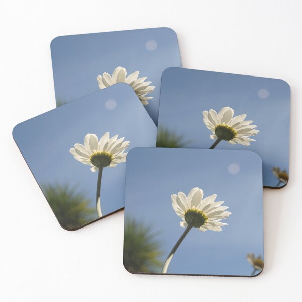 Item preview, A SUNLIT WHITE DAISY FLOWER AGAINST BLUE SKY designed and sold by Richard Brookes Photography.
