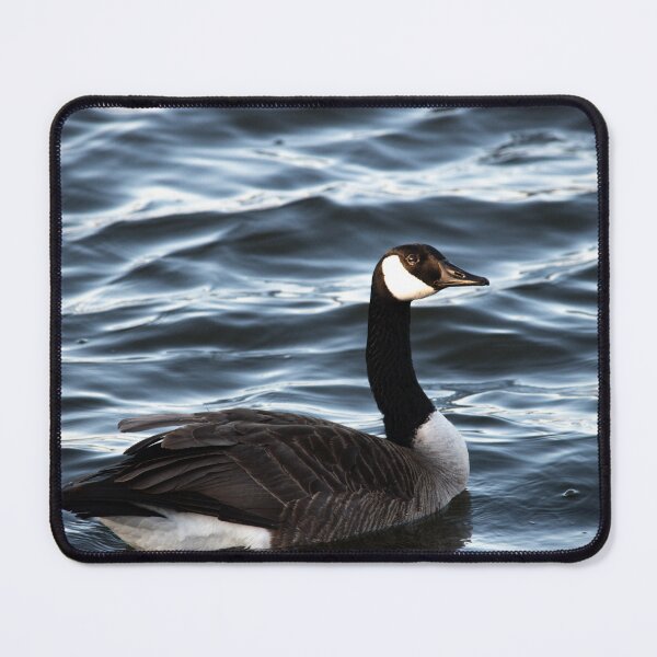 Item preview, Canadian Goose designed and sold by ashleybeck13.