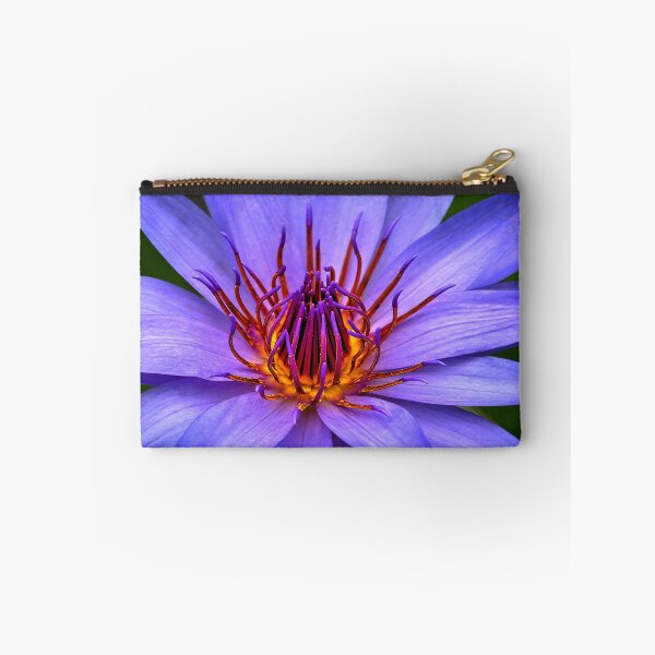 Item preview, 1780 Waterlily designed and sold by Hans Kawitzki.