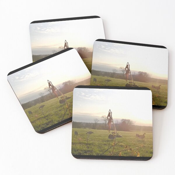 Item preview, Decoy Sunrise designed and sold by Ground Swattin'.