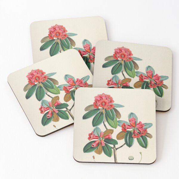 Item preview, Rhododendron designed and sold by 19th Century in Color.