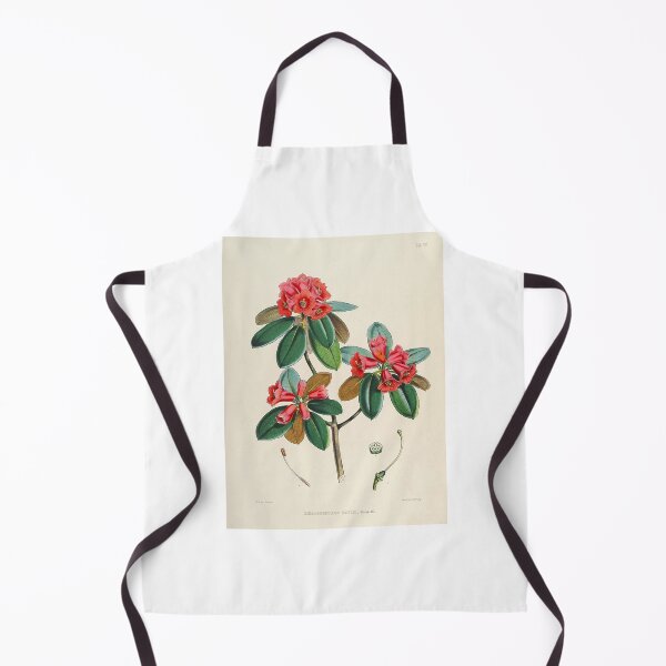 Item preview, Rhododendron designed and sold by 19th Century in Color.