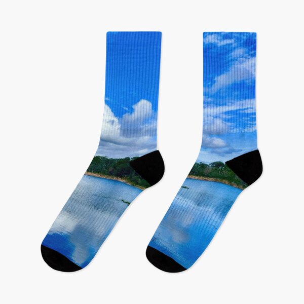 Item preview, A Blue Sky on the Florida Pond designed and sold by Pamela Storch.