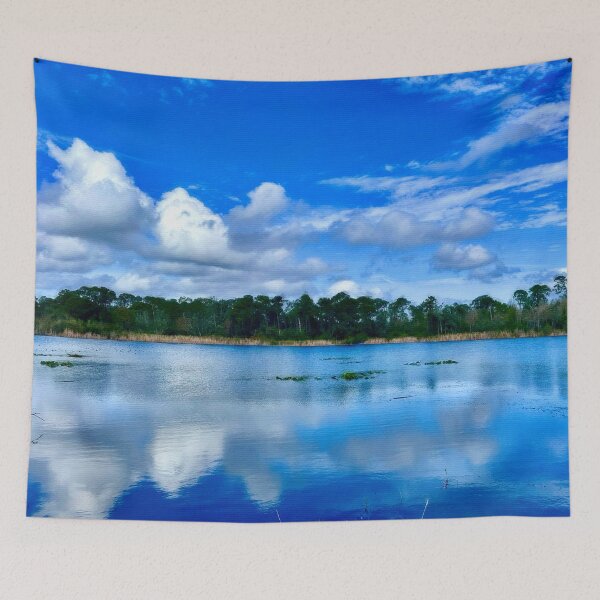 Item preview, A Blue Sky on the Florida Pond designed and sold by Pamela Storch.